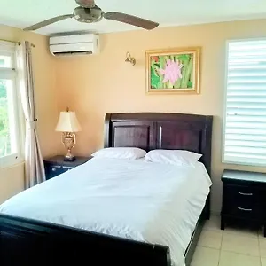 2 Bedroom Apartment/flat , Ocho Rios Jamaica